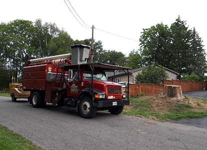 friesen tree services