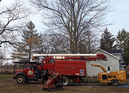 friesen tree services